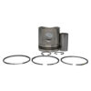 Pistão Anel Std P/ Cargo 2626 Cummins 6 Ctaa 8.3 12v 02/06
